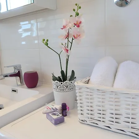 Luxury Dalia *